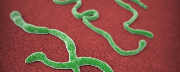 ebola+green